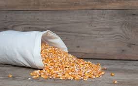 50kg bag of Maize