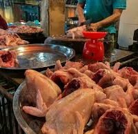 Chicken meat