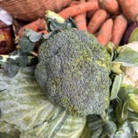 Fresh Cauliflower – Premium Farm-Fresh Vegetable.