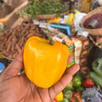 Fresh Yellow Bell Pepper – Sweet & Crunchy Farm Vegetable.